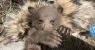 urlhttps3A2F2Fcalifornia-times-brightspot.s3.amazonaws.com2Ff72Fab2Fde30c60b432ca8d52617ed5c.jpeg