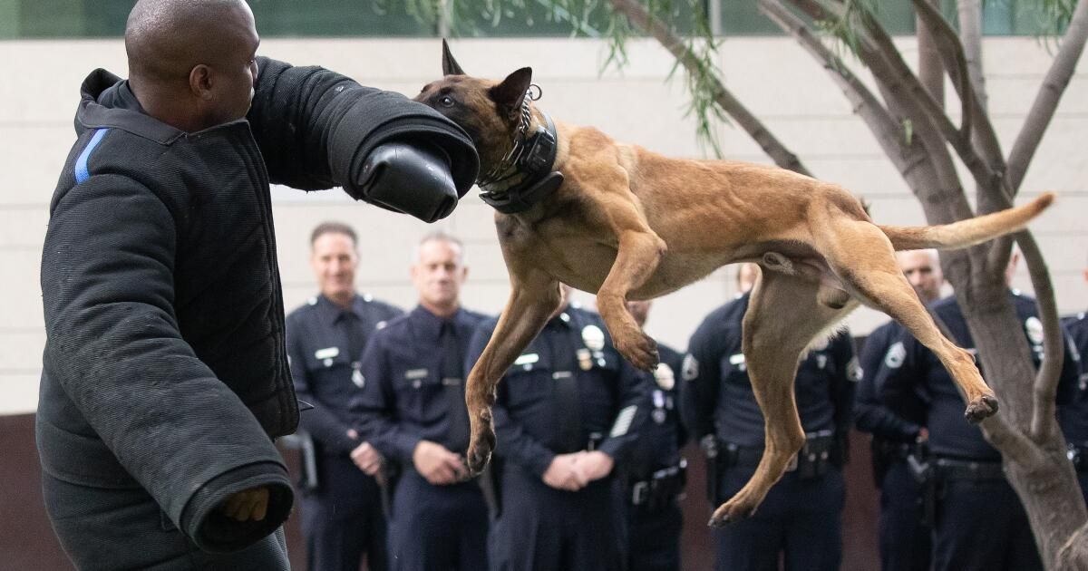 urlhttps3A2F2Fcalifornia-times-brightspot.s3.amazonaws.com2Fff2F912F0983a7a644ebb3eced1b306271652F1301747-me-police-service-dogs-memorial-01-mjc.jpg