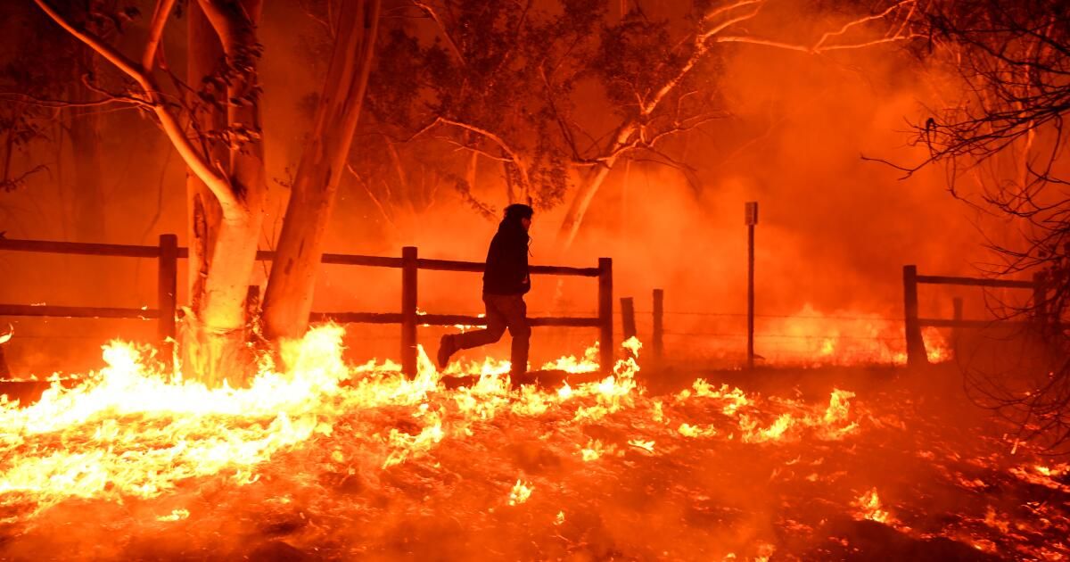 urlhttps3A2F2Fcalifornia-times-brightspot.s3.amazonaws.com2Fzbk2Fdamlat_images2FLA2FLA_PHOTO_SELECTS2F2017_122F3029267_ME_1205_thomas_fire5_WJS.JPG