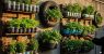 vertical-garden-1-2026-01-9b89b6f21e977b150baebeac8fa4b668-16x9.jpg